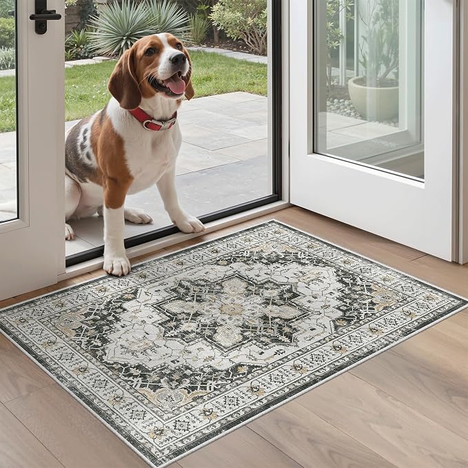 Madane Washable Area Rug 2x3, Small Entryway Rug Non-Slip Vintage Door Mat