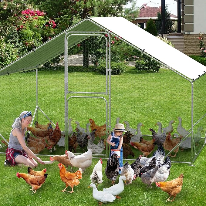 9.8X6.5x6.5FT, Large Walk in Chicken Run Pen Cage, Metal Coop Clearance