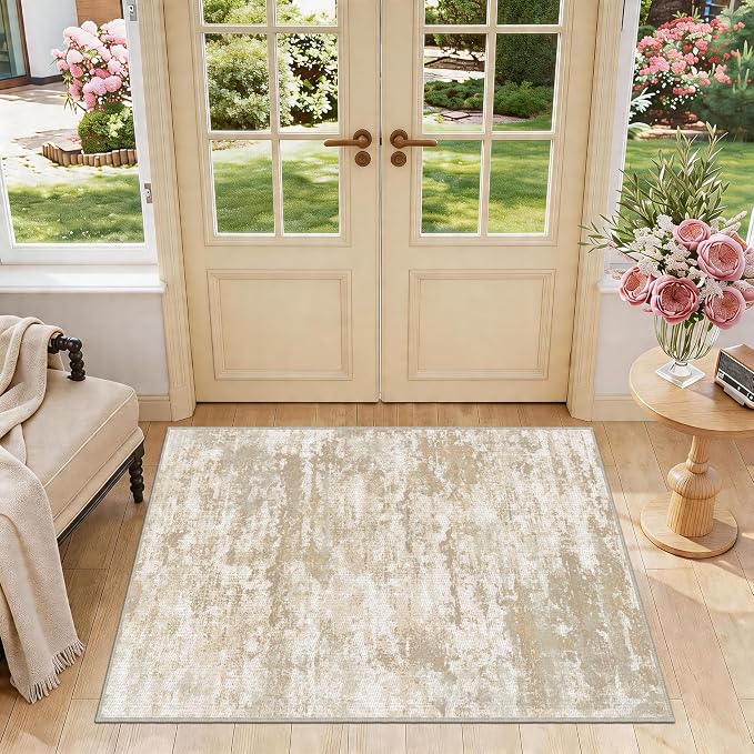 3x5 Area Rug Washable Entryway Rug Non Slip Abstract Tear and Stain Resistance