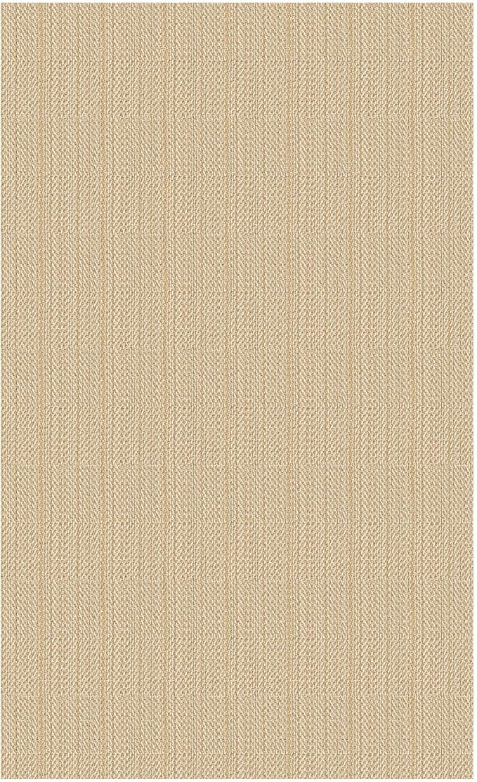 IOHOUZE Washable Area Rug 5x7 Non Slip Rubber Backed Rugs