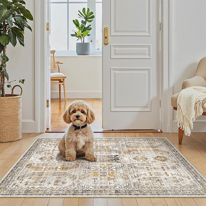 Madane Washable Area Rug 2x3, Small Entryway Rug Non-Slip Vintage Door Mat