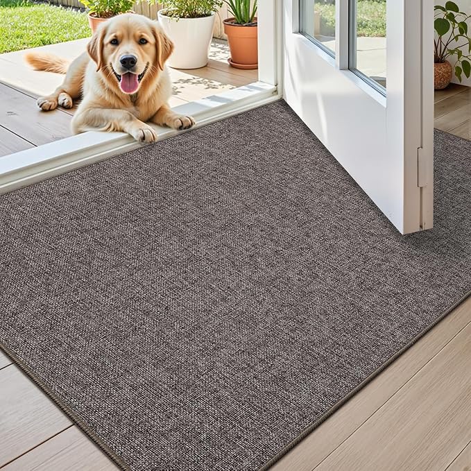 Color&Geometry Ultra Thin Indoor Door Mat 32"x48", Non Slip Rubber Backed Dirt