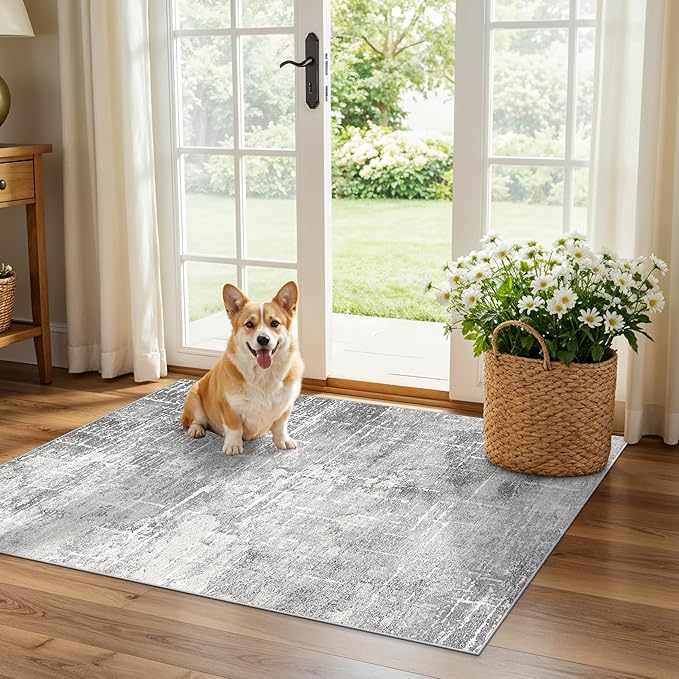 Abstract 2x3 Entryway Area Rugs: Washable Water Resistant Kitchen Rug Non-Slip