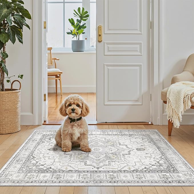 Madane Washable Area Rug 2x3, Small Entryway Rug Non-Slip Vintage Door Mat