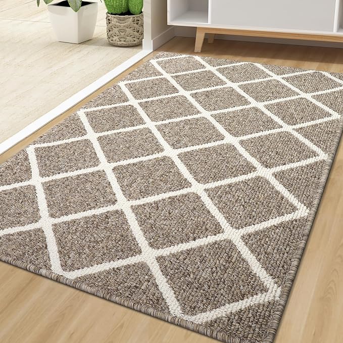 Finchitty Indoor Door Mat, Dirt Resistant and Absorbent, Low-Profile, Washable