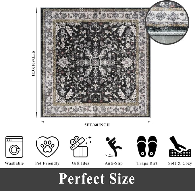 Square Rugs 5x5 Washable for Entryway: Non Slip Indoor Foot Carpet for Living