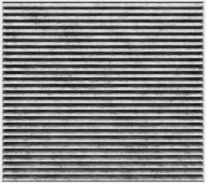Spearhead Odor Defense Breathe Easy AC & Heater Cabin Filter | Fits 2016-19