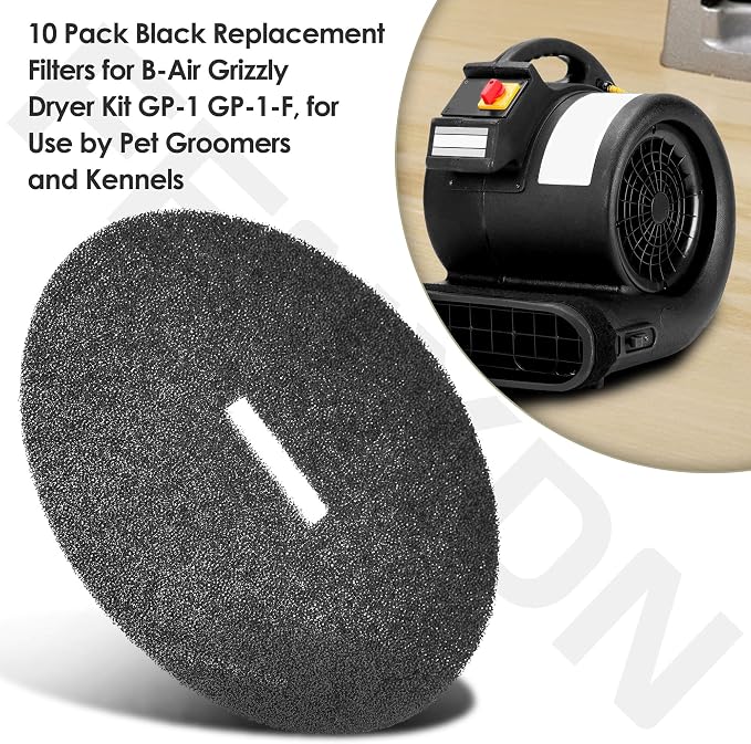 10-Pack Replacement Filters Compatible