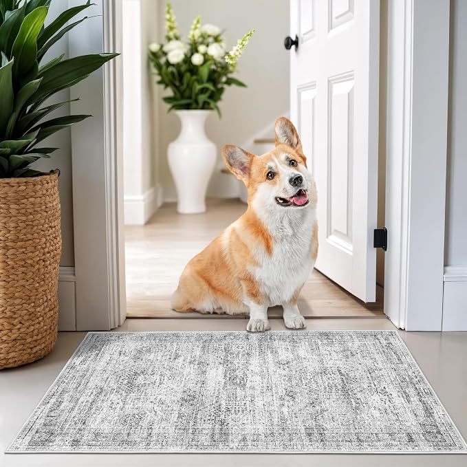 2x3 Washable Rug Runner for Bathroom, Soft Entryway Rug for Laundry Room