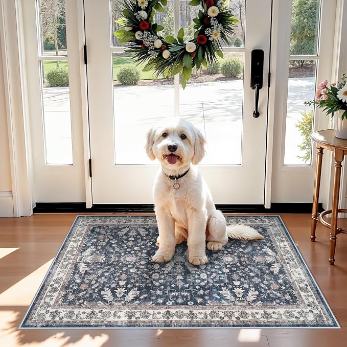 2x3 Non-Slip Washable Kitchen Rug