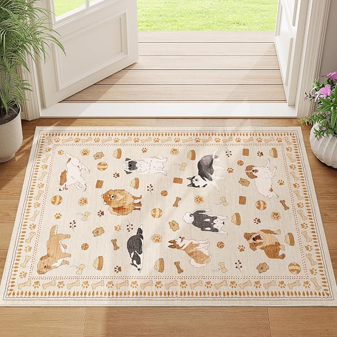 DUKINO 2x3 Entryway Rug, Washable Small Door Mat Indoor Entance Lightweight